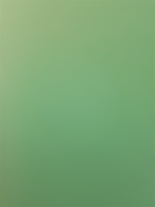  Folie lyse grøn 9,7x22,5cm selvklæbende
